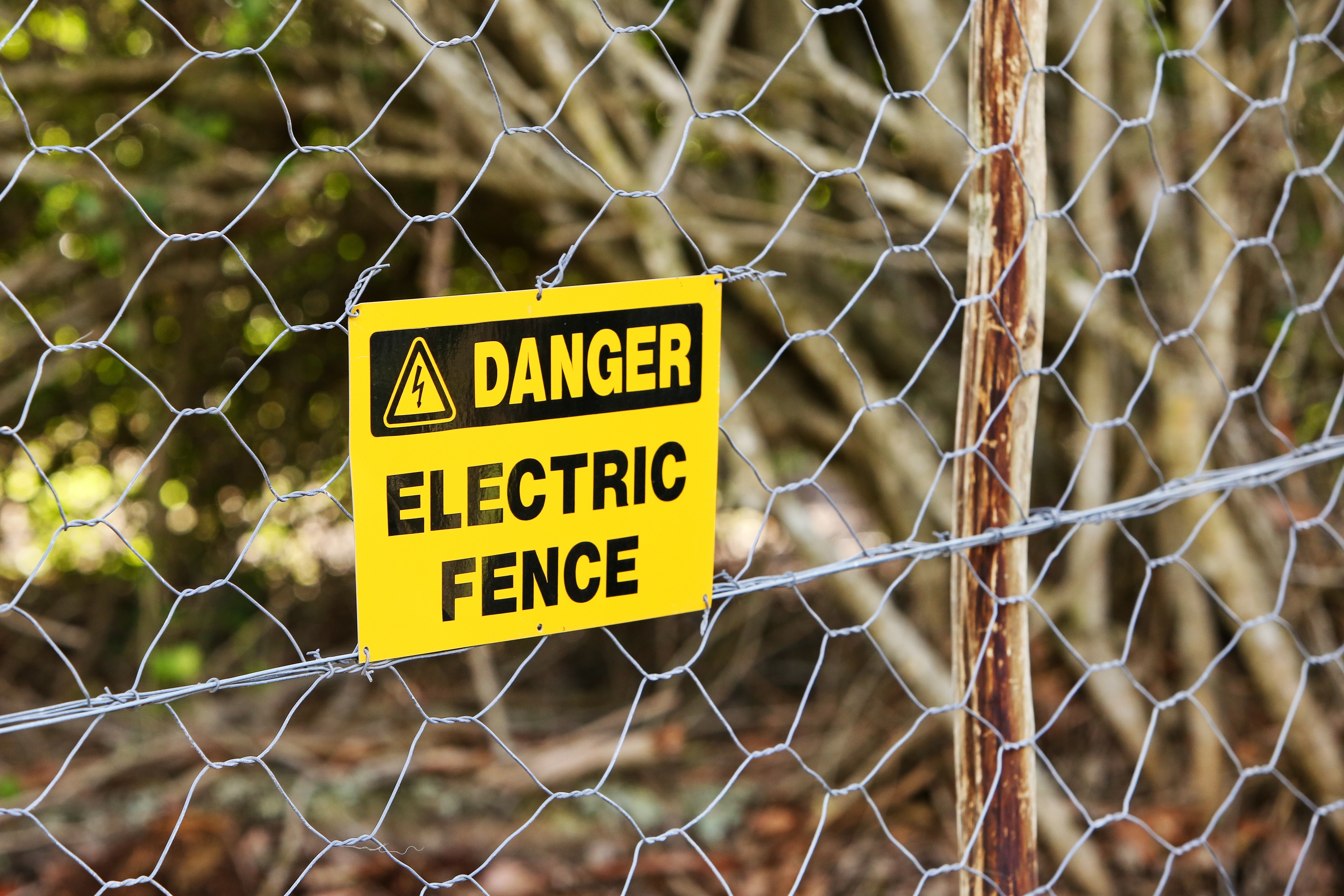 Electric Fence System